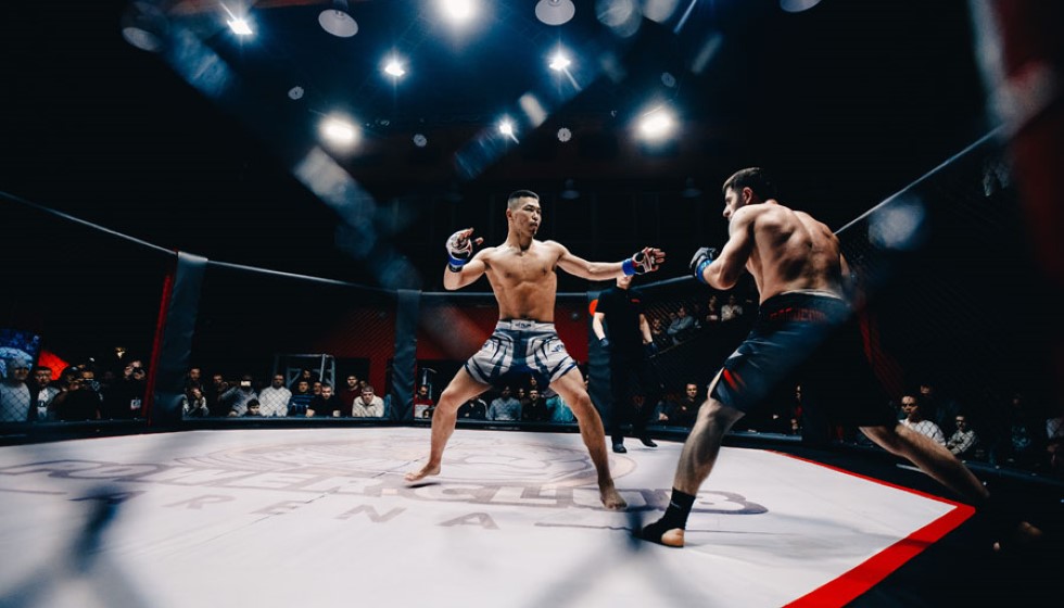 Conor McGregor Eyes Ireland’s Highest Office in 2025 Bid